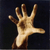 mat_wye's Avatar