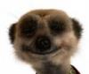 fosters8939's Avatar
