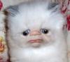 MiloTheGreat's Avatar
